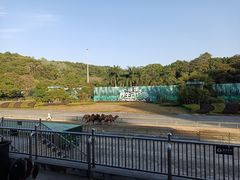 -深圳野生动物园