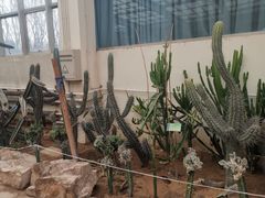 -石家庄市植物园