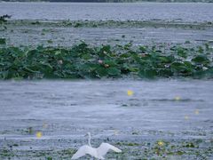 -东钱湖旅游度假区