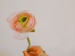 -双季花艺园艺市场(浦东店)