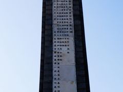 -望溪公园