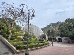 -石排湾郊野公园