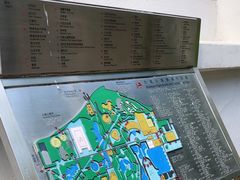 -九龙公园