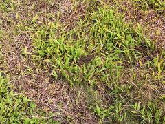 -李小龙乐园(顺德均安店)