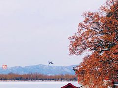 -颐和园