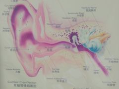 -海之声助听器佛山旗舰店(华麟大厦店)