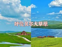 -呼伦贝尔大草原