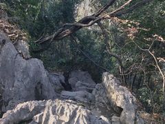 -灵隐飞来峰景区