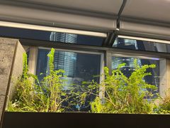-柿合缘新京菜(国金中心商场店)