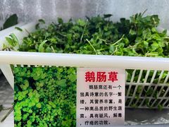 -黔府豆米火锅野菜馆(南马店)