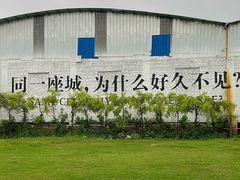 -芭厘农庄老字号·清远鸡