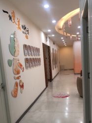 -彼家美创·量肤定制修护管理