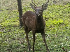 -大连森林动物园