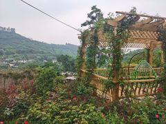 -玫瑰庄园·自助烧烤·烤全羊·团建拓展(龙泉山店)