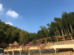 -宁波浙东大竹海景区
