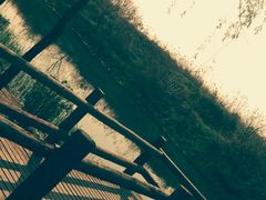 android_upload_pic-新江湾城公园