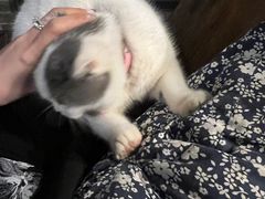 -老屋咖啡