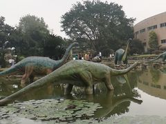 -自贡恐龙博物馆