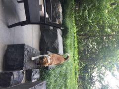 丽晶酒店-北京丽晶酒店