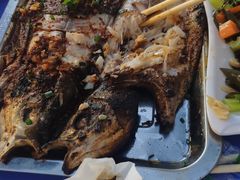 -福缘厚饺子