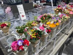 -鹿岛生活(熙地港店)