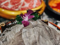 -渝味晓宇火锅(合川路店)