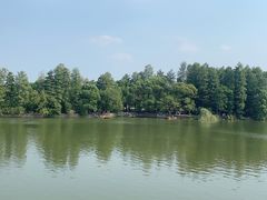 -东湖落雁景区