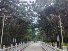 -林海公园