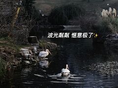 -红山森林动物园