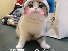 -Juliaanna茱安娜烘焙(中心店)