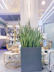 -FUTURE HN男士发型风格设计