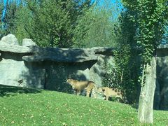 -北京野生动物园