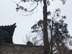-青岛崂山太清宫