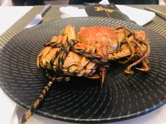 -新发展亚太JW万豪酒店·福苑咖啡厅