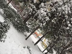 -西安曲江寒窑遗址公园