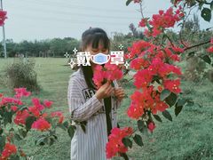-万绿园