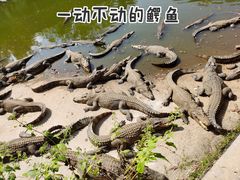 -广东茂名森林公园