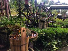 -青城甲(青城山店)