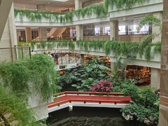 -白天鹅宾馆-宏图府餐厅