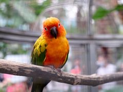 -大连森林动物园