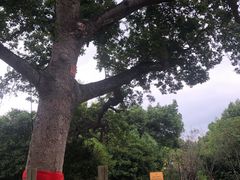 -福建鲤鱼洲酒店