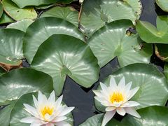 -天津东丽湖风景区