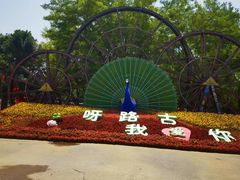 -呀路古热带植物园