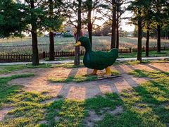 -羊亭河湿地公园