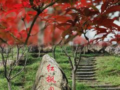 -广州市帽峰山景区