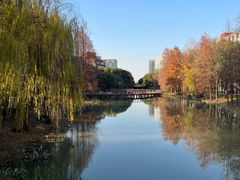 -七宝老街-闵行市民文化广场