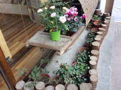 -猫的天空之城概念书店(杭州南宋御街店)