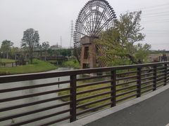 -王借岗森林公园