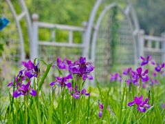 -国家植物园南园