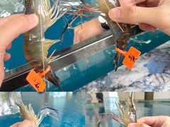 -SHRIMP CLUB万东餐饮钓虾·清吧